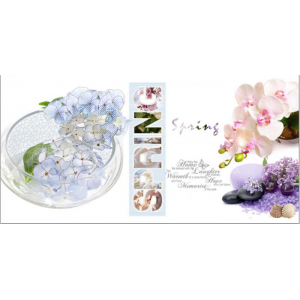 Gạch ốp tường Trường Thịnh GENESIS SERIES G65078-1